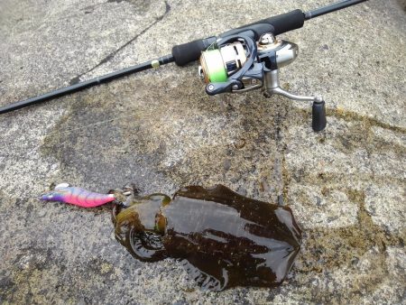 越前海岸でエギング